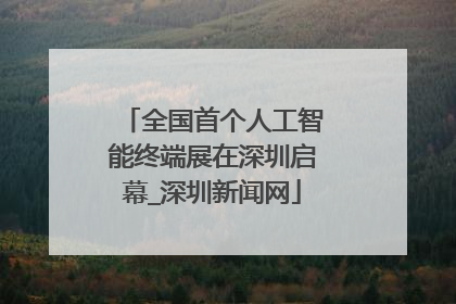 全国首个人工智能终端展在深圳启幕_深圳新闻网