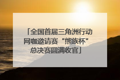 全国首届三角洲行动网咖邀请赛“熊族杯”总决赛圆满收官