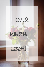 公共文化服务质量提升