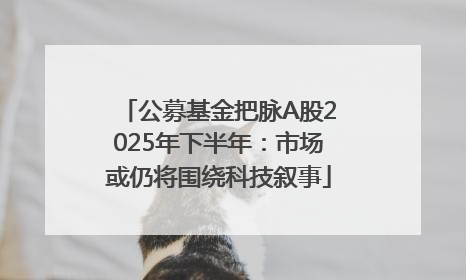 公募基金把脉A股2025年下半年：市场或仍将围绕科技叙事
