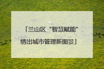 兰山区“智慧赋能”绣出城市管理新图景