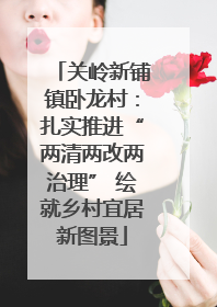 关岭新铺镇卧龙村：扎实推进“两清两改两治理” 绘就乡村宜居新图景