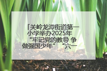 关岭龙潭街道第一小学举办2025年“牢记党的教导 争做强国少年”“六一”文艺汇演活动