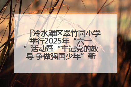 冷水滩区翠竹园小学举行2025年“六一”活动暨“牢记党的教导 争做强国少年”新队员入队仪式