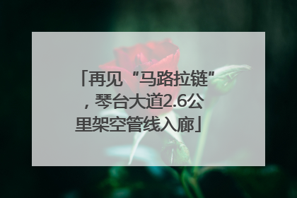 再见“马路拉链”，琴台大道2.6公里架空管线入廊