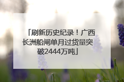 刷新历史纪录！广西长洲船闸单月过货量突破2444万吨
