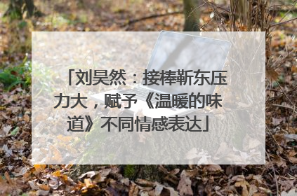 刘昊然：接棒靳东压力大，赋予《温暖的味道》不同情感表达