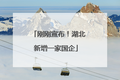 刚刚宣布！湖北新增一家国企