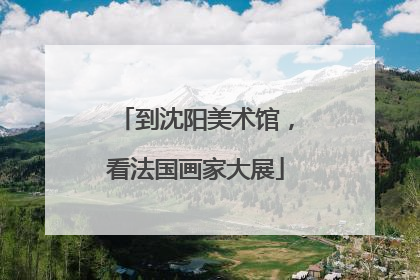 到沈阳美术馆，看法国画家大展