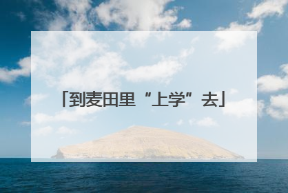 到麦田里“上学”去