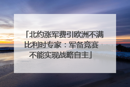 北约涨军费引欧洲不满 比利时专家：军备竞赛不能实现战略自主