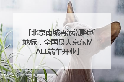 北京南城再添潮购新地标，全国最大京东MALL端午开业
