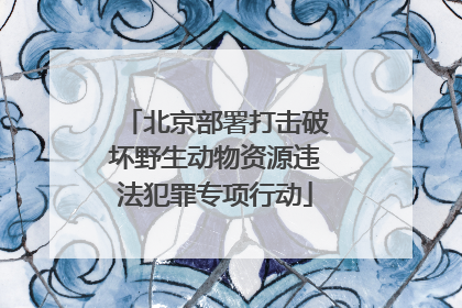 北京部署打击破坏野生动物资源违法犯罪专项行动