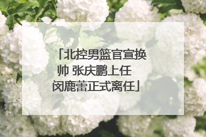 北控男篮官宣换帅 张庆鹏上任 闵鹿蕾正式离任