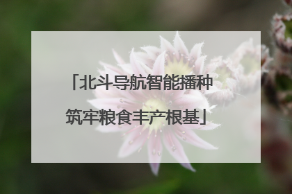 北斗导航智能播种 筑牢粮食丰产根基