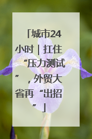 城市24小时｜扛住“压力测试”，外贸大省再“出招”