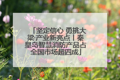 坚定信心 勇挑大梁·产业新亮点丨秦皇岛智慧消防产品占全国市场超四成