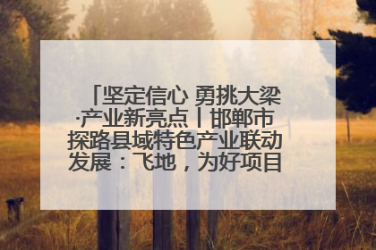 坚定信心 勇挑大梁·产业新亮点丨邯郸市探路县域特色产业联动发展：飞地，为好项目跨域安个家