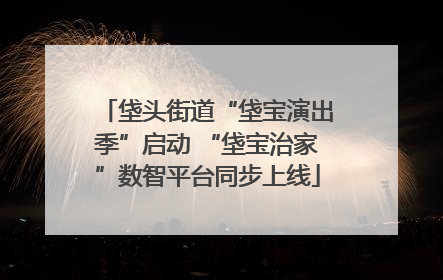 垡头街道“垡宝演出季”启动 “垡宝治家”数智平台同步上线