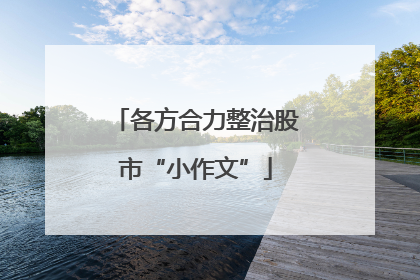 各方合力整治股市“小作文”