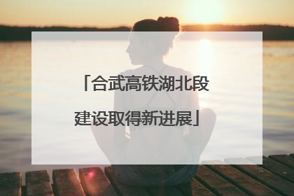 合武高铁湖北段建设取得新进展