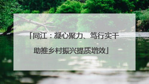 同江：凝心聚力、笃行实干 助推乡村振兴提质增效