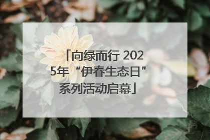 向绿而行 2025年“伊春生态日”系列活动启幕