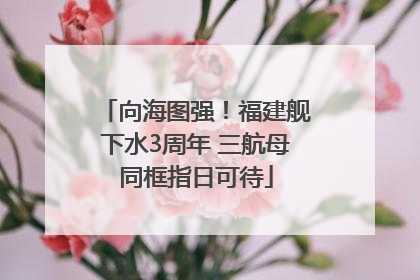 向海图强！福建舰下水3周年 三航母同框指日可待