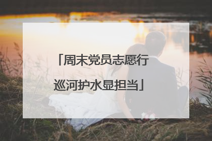 周末党员志愿行 巡河护水显担当