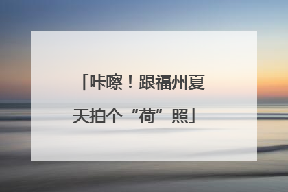 咔嚓！跟福州夏天拍个“荷”照