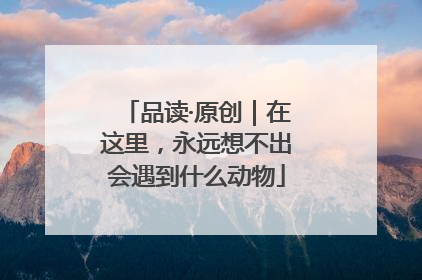 品读·原创｜在这里，永远想不出会遇到什么动物