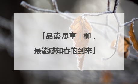 品读·思享｜柳，最能感知春的到来