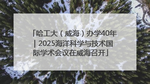 哈工大（威海）办学40年｜2025海洋科学与技术国际学术会议在威海召开
