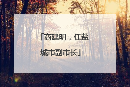 商建明，任盐城市副市长