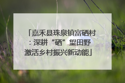 嘉禾县珠泉镇富硒村：深耕“硒”望田野 激活乡村振兴新动能