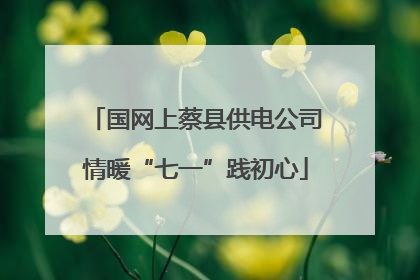 国网上蔡县供电公司情暖“七一”践初心