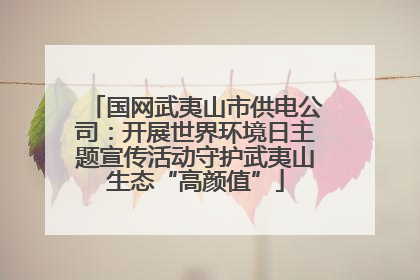 国网武夷山市供电公司：开展世界环境日主题宣传活动守护武夷山生态“高颜值”