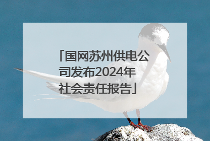 国网苏州供电公司发布2024年社会责任报告