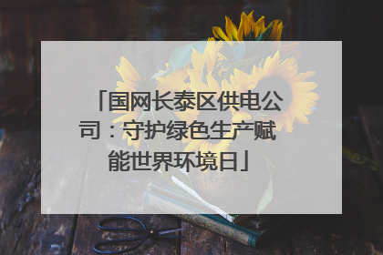 国网长泰区供电公司：守护绿色生产赋能世界环境日