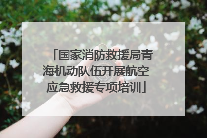 国家消防救援局青海机动队伍开展航空应急救援专项培训