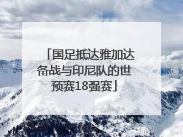 国足抵达雅加达备战与印尼队的世预赛18强赛