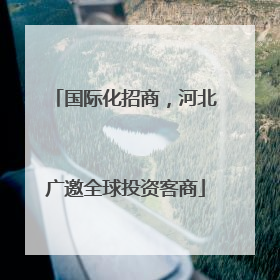 国际化招商，河北广邀全球投资客商