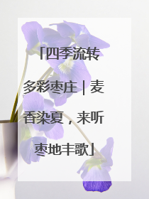 四季流转 多彩枣庄｜麦香染夏，来听枣地丰歌