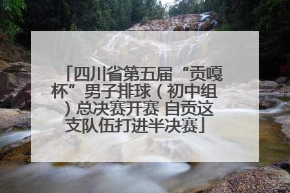 四川省第五届“贡嘎杯”男子排球（初中组）总决赛开赛 自贡这支队伍打进半决赛