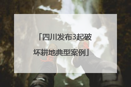 四川发布3起破坏耕地典型案例