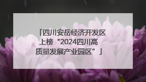 四川安岳经济开发区上榜“2024四川高质量发展产业园区”