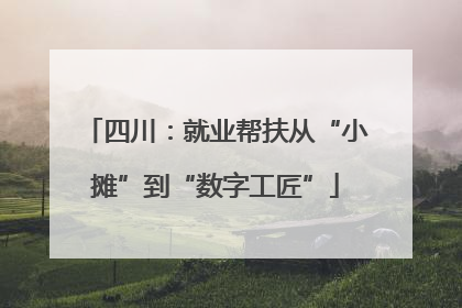 四川：就业帮扶从“小摊”到“数字工匠”