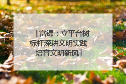 富锦：立平台树标杆深耕文明实践培育文明新风