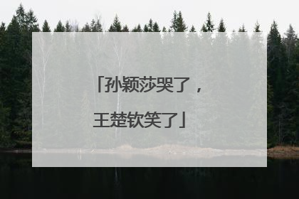 孙颖莎哭了，王楚钦笑了
