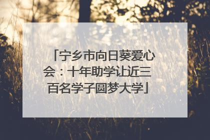宁乡市向日葵爱心会：十年助学让近三百名学子圆梦大学